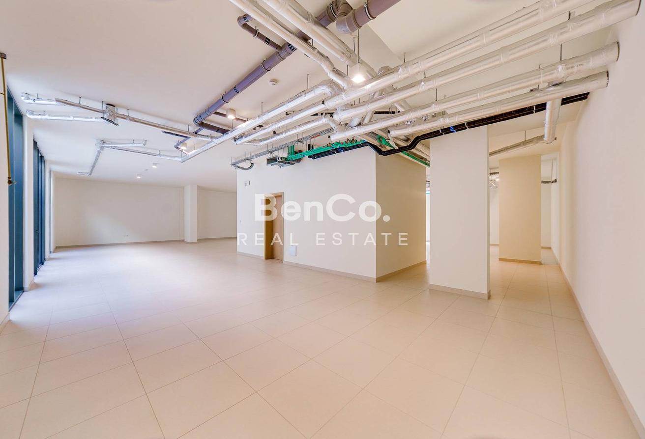 Next to Park | Basement | Open To Offers photo 24