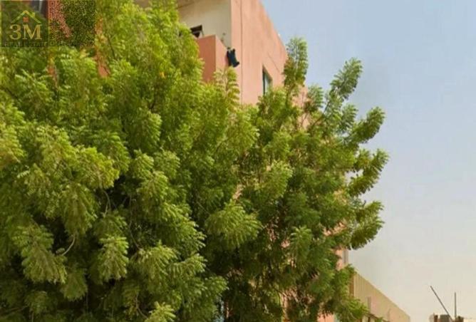 78185040 - Property Image 3