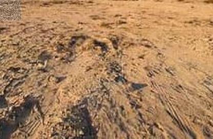Land - Studio for sale in Masfoot 8 - Masfoot - Ajman