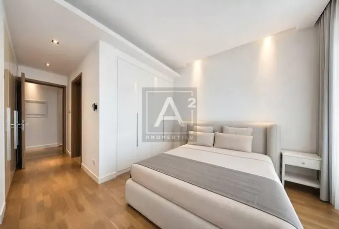 156161562 - Property Image 3