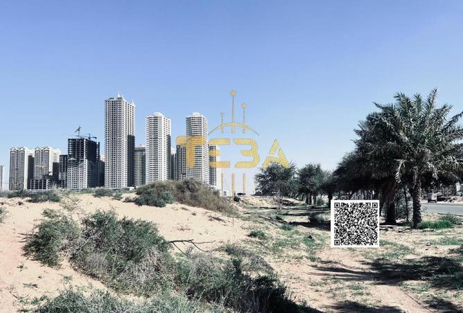 55339806 - Property Image 3