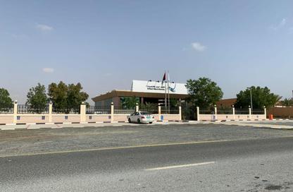 أرض - استوديو للبيع في المنامة - عجمان