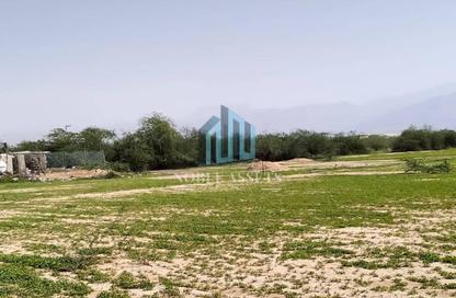 Farm - Studio for rent in Khatt - Ras Al Khaimah