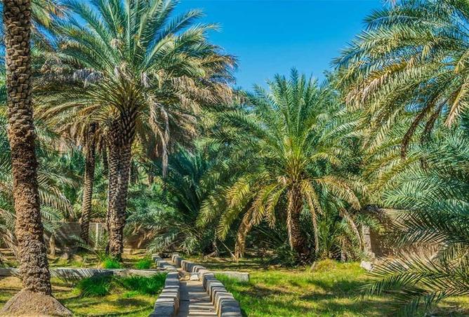 16318707 - الصورة الرئيسية للعقار