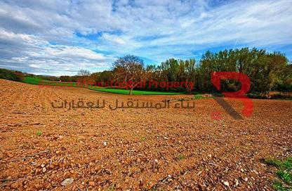 Land - Studio for sale in Slemi - Al Jimi - Al Ain