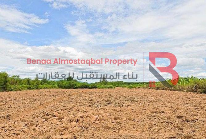 127479565 - Property Image 2