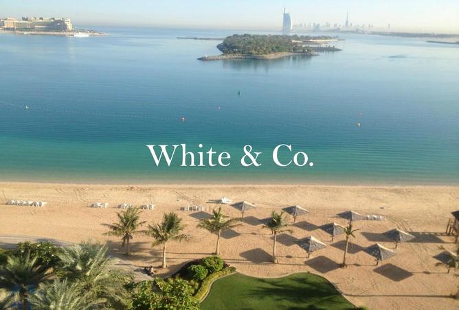 64423212 - صورة العقار 2