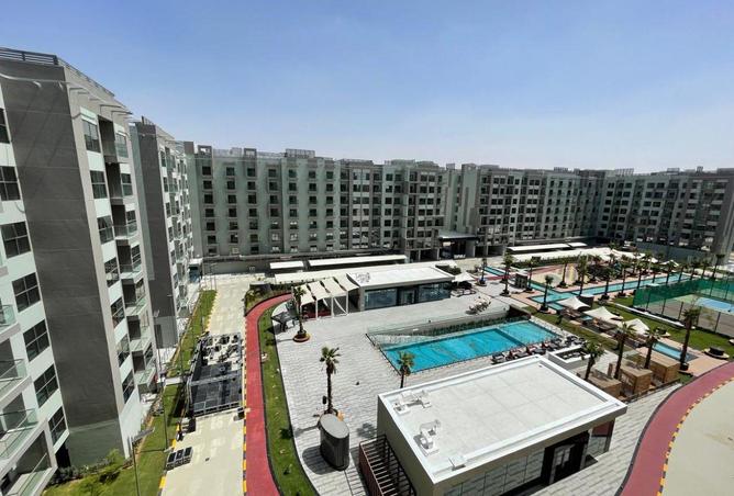 16232877 - Property Image 3