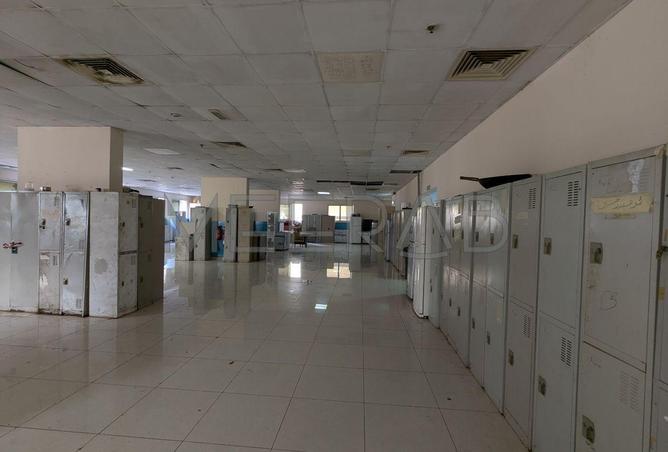 56529197 - صورة العقار 3