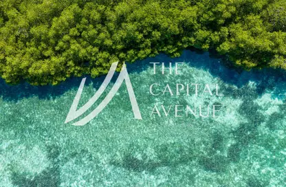 Villa - 4 Bedrooms - 5 Bathrooms for sale in Mangrove Village - Rabdan - Abu Dhabi