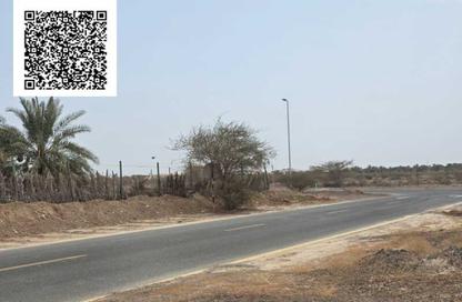 Land - Studio for sale in Manama - Ajman Land - Studio for sale in Manama - Ajman