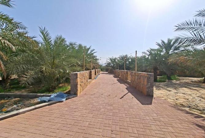 76963336 - صورة العقار 3