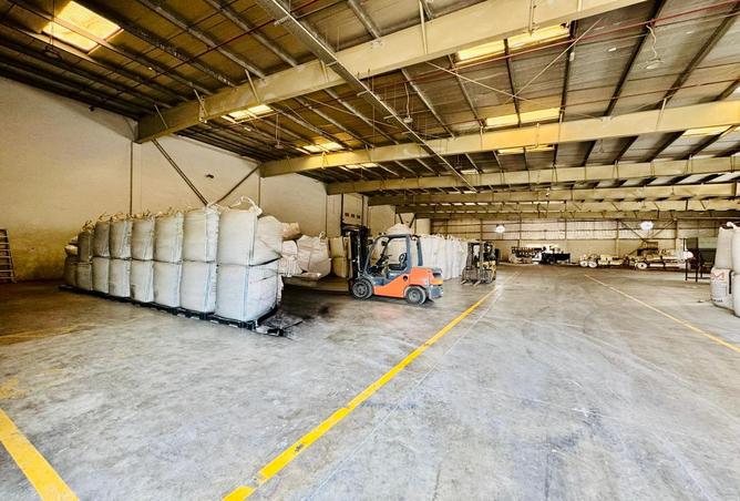 65556675 - صورة العقار 3