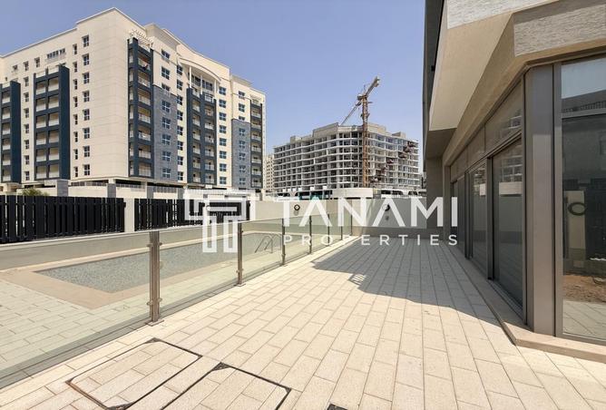 142377520 - Property Image 3