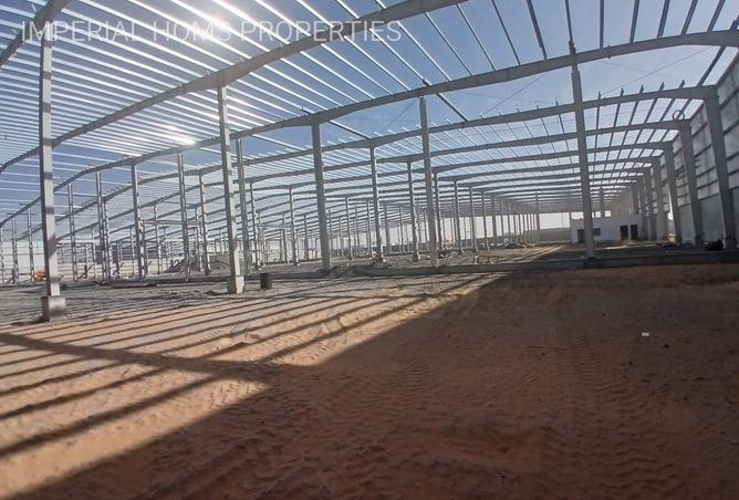 16281191 - صورة العقار 3