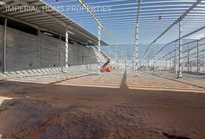 16281191 - صورة العقار 2