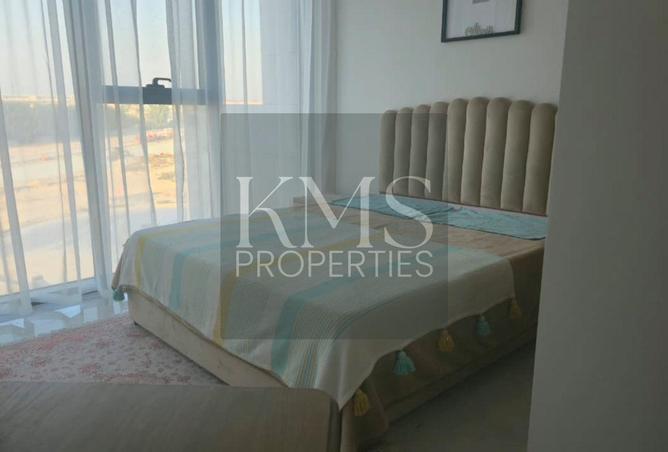 16235195 - Property Image 3