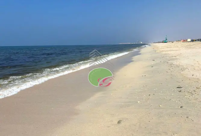 115942559 - Property Image 3