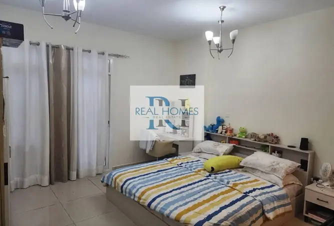 147753831 - Property Image 2