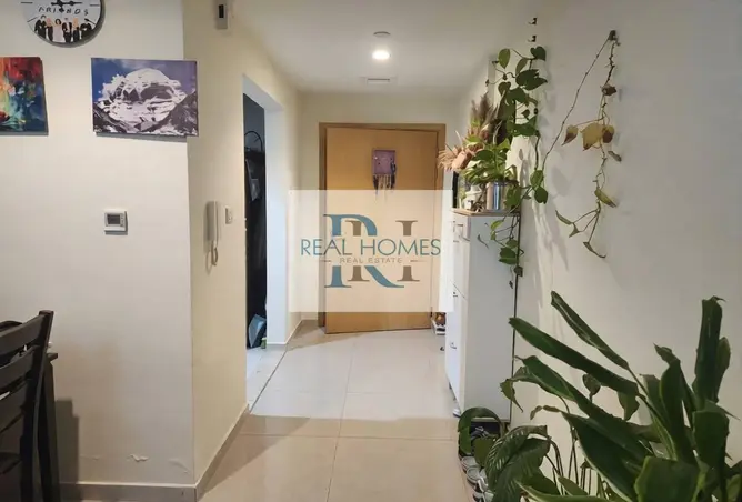 147753831 - Property Image 3