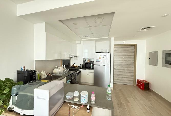 116801808 - Property Image 3