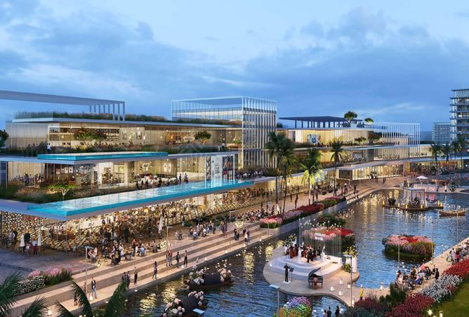 81122337 - صورة العقار 2