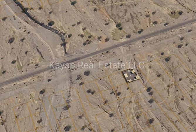 117254384 - Property Image 3