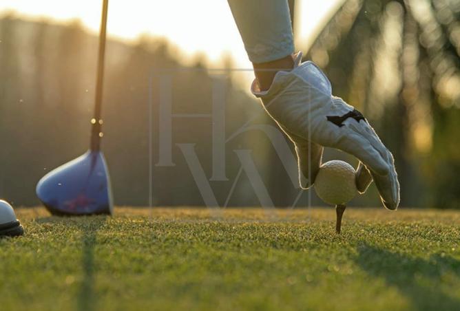 16287968 - Property Image 2