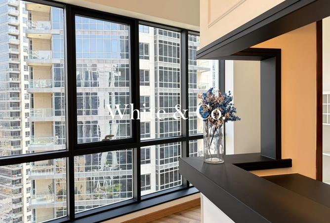 142837081 - Property Image 3