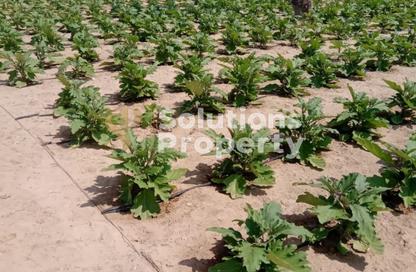 Land - Studio for sale in Al Samha - Abu Dhabi