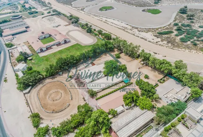 86181371 - Property Image 3