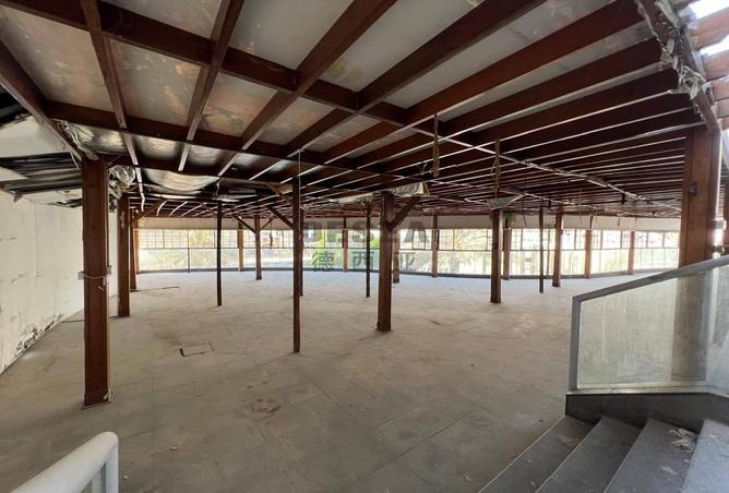 116379717 - Property Image 3