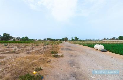 Land - Studio for sale in Al Hamraniah - Ras Al Khaimah Land - Studio for sale in Al Hamraniah - Ras Al Khaimah