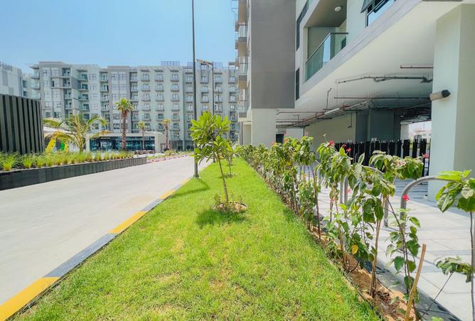 125664306 - Property Main Image