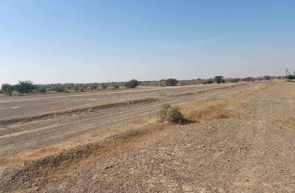 Land - Studio for sale in Masfoot 8 - Masfoot - Ajman Land - Studio for sale in Masfoot 8 - Masfoot - Ajman