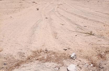 Land - Studio for sale in Al Mowaihat 2 - Al Mowaihat - Ajman