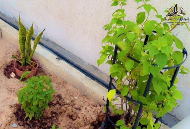 133862701 - Property Image 2