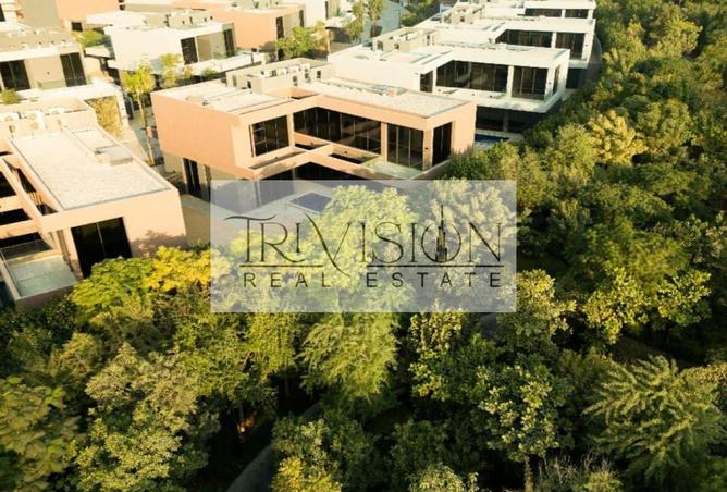 82818402 - Property Image 2