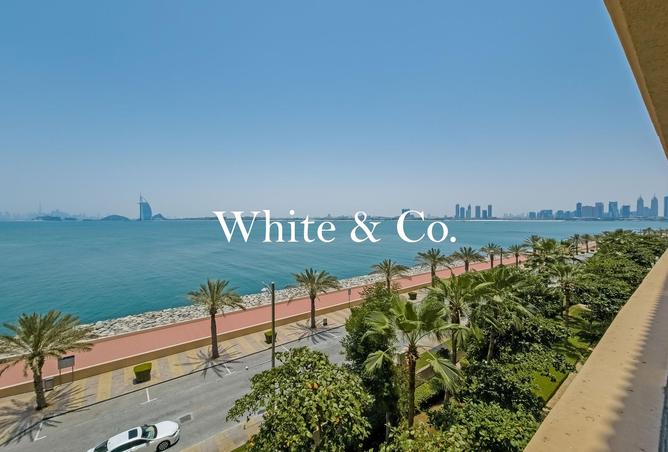 113697226 - صورة العقار 2