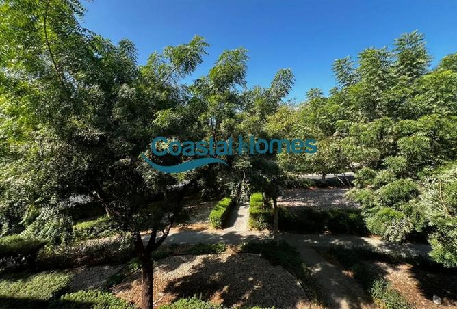 71129217 - صورة العقار 2