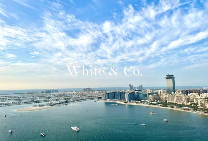 74232071 - Property Image 2