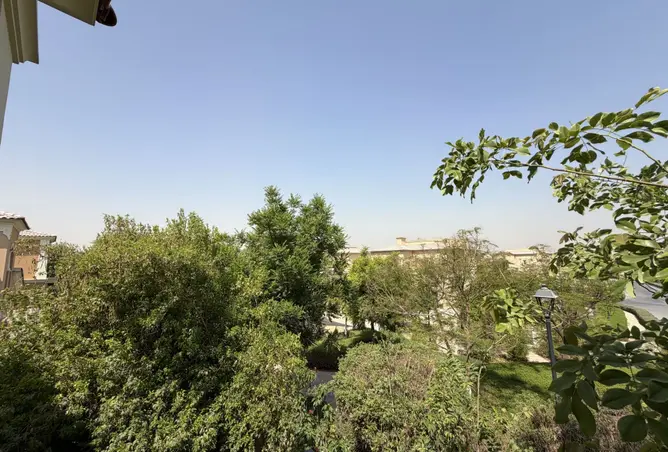 164565397 - Property Image 2
