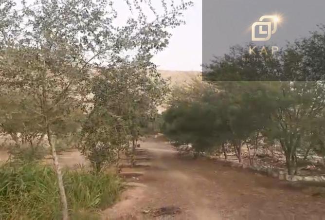 59753955 - صورة العقار 3