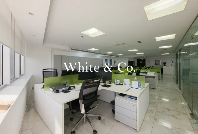 151342220 - Property Image 3