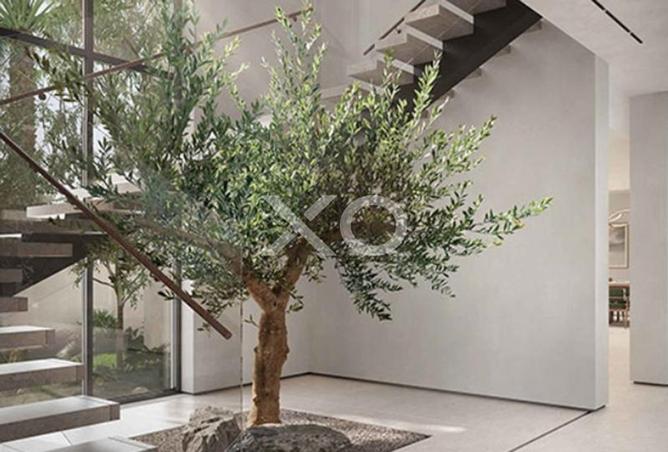 56149656 - صورة العقار 3