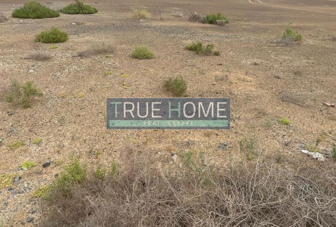 70688793 - Property Image 3