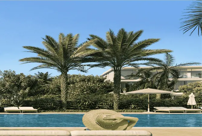 147786936 - Property Image 3
