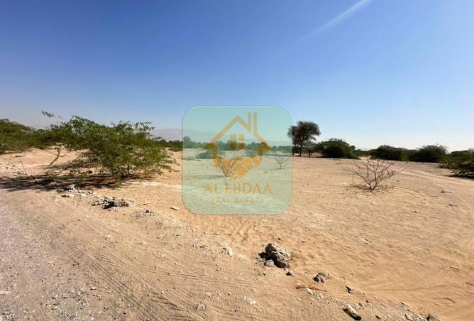 59352966 - صورة العقار 3