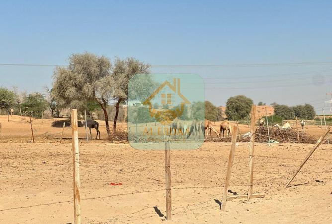 59352966 - صورة العقار 2