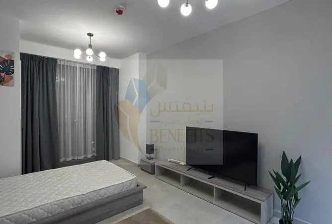 145520557 - Property Image 3